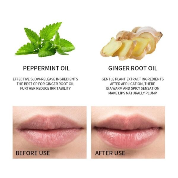 hydrating lip gloss satin shine, lightweight 5 colors